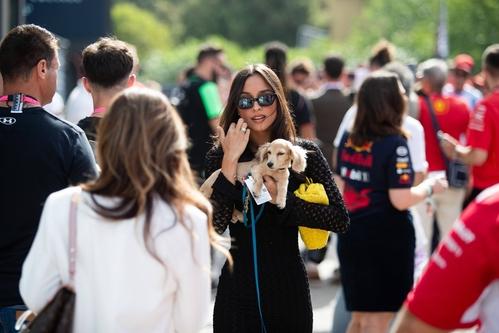 image244.jpg