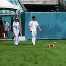 Filename=image845.jpg
Filesize=431KiB
Dimensions=1667x2500
Date added=Aug 26, 2025 image845.jpg
