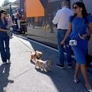 Filename=image937.jpg
Filesize=847KiB
Dimensions=2500x2009
Date added=Aug 26, 2025 image937.jpg